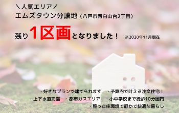 土地情報更新｜エムズタウン分譲地残り1区画！