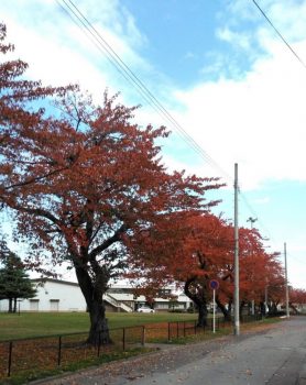 霜月スタートです🍁