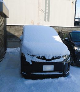 朝の雪かき🧤🥾⛄